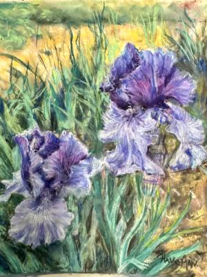 “Violet Irises” -Pastel