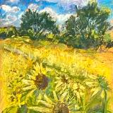 Sunflower Field 