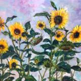 Sunflowers at Daybreak - SGH