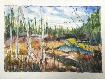 Sold-Through Gallery-Cherry Creek Swamp,SGH, Oscoda county Mi.