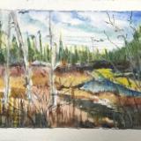 Through Gallery-Cherry Creek Swamp,SGH, Oscoda county Mi.