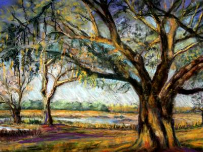 Georgia Live Oak SGH Georgia Live Oak SGH