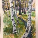 Birch Creek 5 x 7