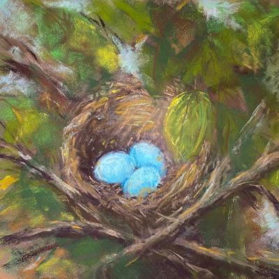 Nest Eggs Nest Eggs