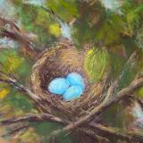 Nest Eggs