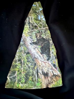 SOLD-Climbing Black Bear- 
