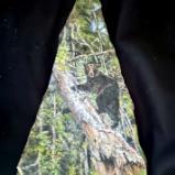 SOLD-Climbing Black Bear- 