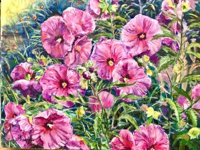 Hibiscus SGH Hibiscus SGH
