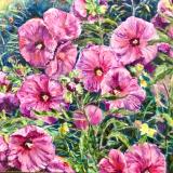 Hibiscus SGH