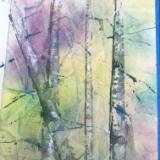 Pastel birches -