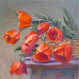 Spring Red Tulips