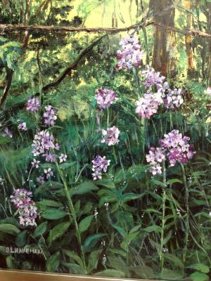 Road Phlox SGH-available Eccentrc Garden Allegan Mi.