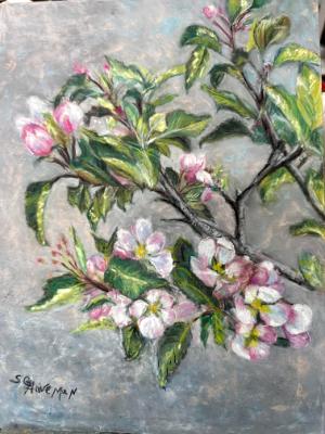 Wall Hugging Crabapple Blooms-Pastel