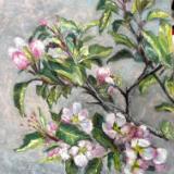 Wall Hugging Crabapple Blooms-Pastel-Avail at Eccentric Garden Allegan Mi.
